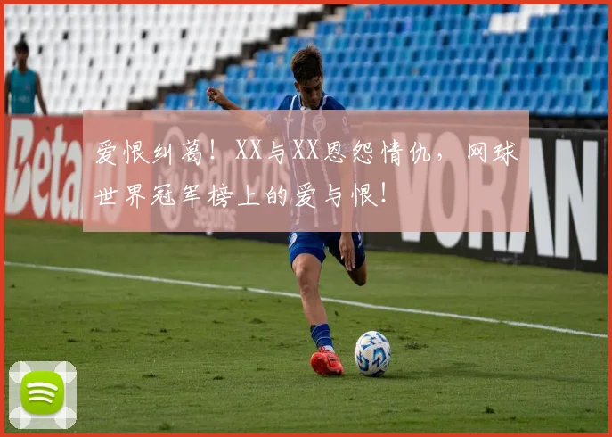 爱恨纠葛!XX与XX恩怨情仇,网球世界冠军榜上的爱与恨!