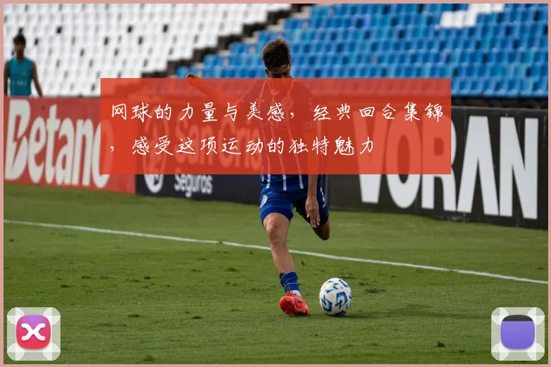 网球的力量与美感，经典回合集锦，感受这项运动的独特魅力